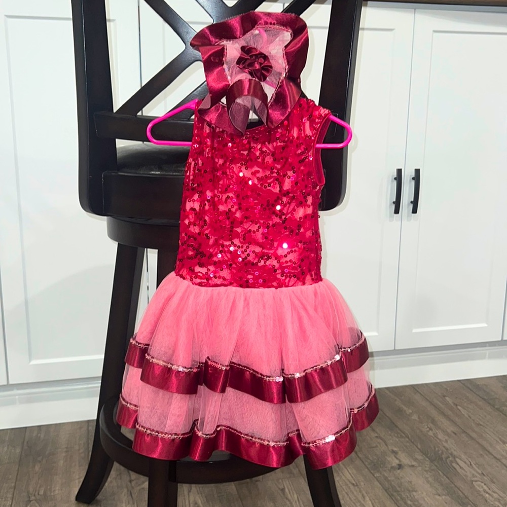 Revolution Dance Co Leotard With Sequins & tulle Skirt Inc Hair Piece Child S
